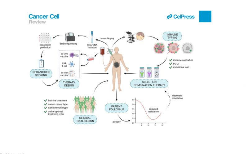 cancer_cell_review